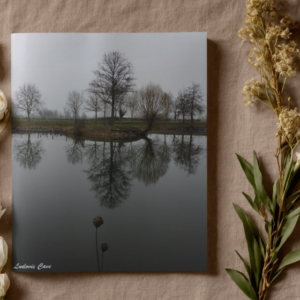 Reflets mélancoliques