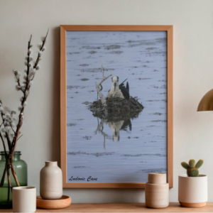 La douceur et son reflet