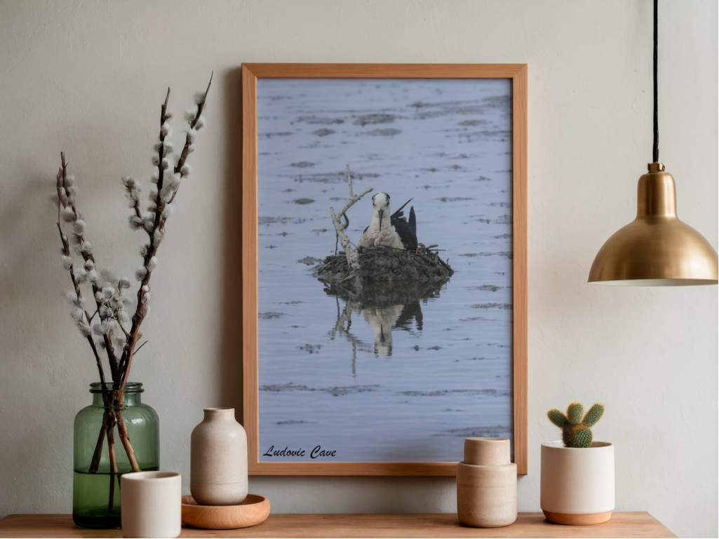 La douceur et son reflet