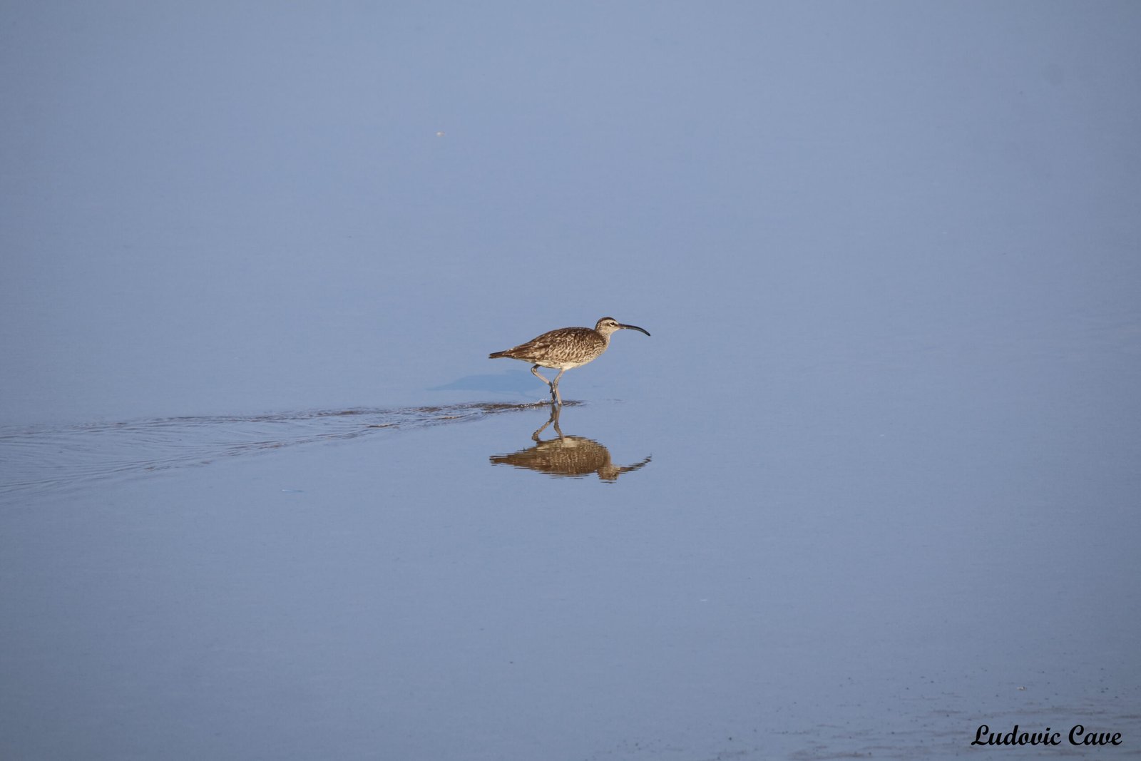 La marche du reflet